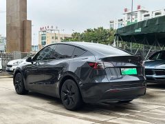Tesla Model Y 2024 rear-wheel drive version - фото 4