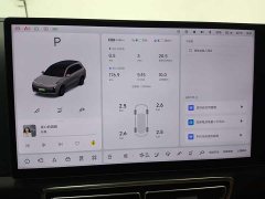 Li Auto Ideal L8 2023 Pro - фото 11