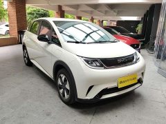 BYD Dolphin 420km Free Edition - фото 5