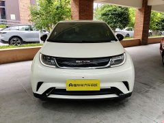 BYD Dolphin 420km Free Edition - фото 7
