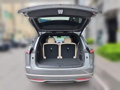BMW Ledo L90 Max six-seater version - фото 20