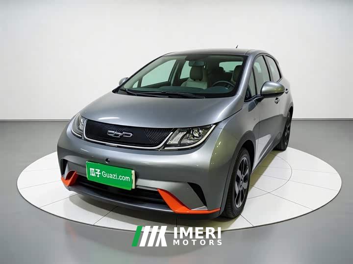 BYD Dolphin 2021 405km fashion version