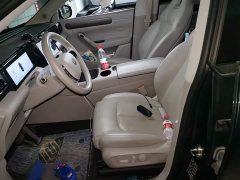 Leapmotor C11 EV 500 Smart Edition - фото 11