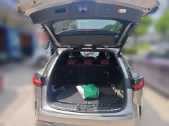 Lexus NX New Energy 2023 400h Changyue Edition - фото 20
