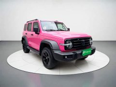 Tank 300 2021 Off-Road Version 2.0T Conqueror - фото 3