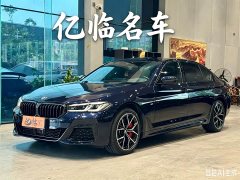 BMW 5 Series 530Li Exclusive M Sports Package - фото 1