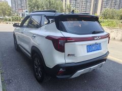 Lexus Sethus 2023 1.5L CVT Deluxe Edition - фото 3
