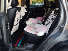 Haval Big Dog PLUS 1.5T two-wheel drive trendy version Plus - фото 13