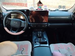 Haval Big Dog PLUS 1.5T two-wheel drive trendy version Plus - фото 5