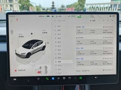 Tesla Model 3 long range all-wheel drive version - фото 10