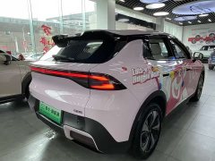 Changan Qiyuan Q05 506Max - фото 11