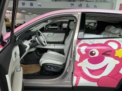 Changan Qiyuan Q05 506Max - фото 3