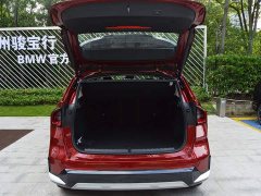 BMW iX1 eDrive25L X Design Package - фото 8