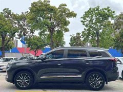 Chery Tiggo 8 PLUS 290TGDI DCT luxury edition - фото 6