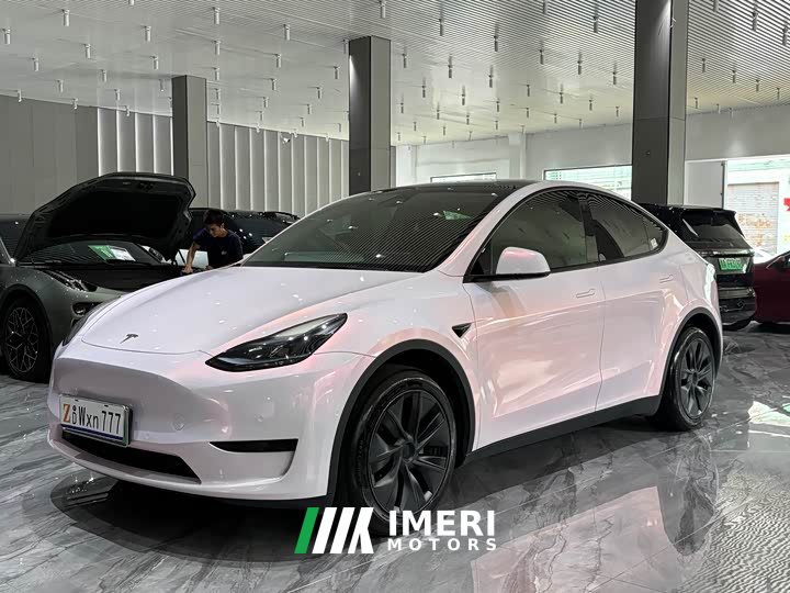 Tesla Model Y rear-wheel drive version - автомобиль из Китая