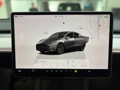 Tesla Model Y rear-wheel drive version - фото 14