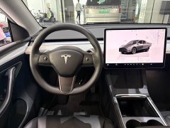 Tesla Model Y rear-wheel drive version - фото 8