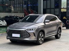 BYD Song PLUS New Energy 2021 DM-i 110KM Flagship PLUS - фото 1