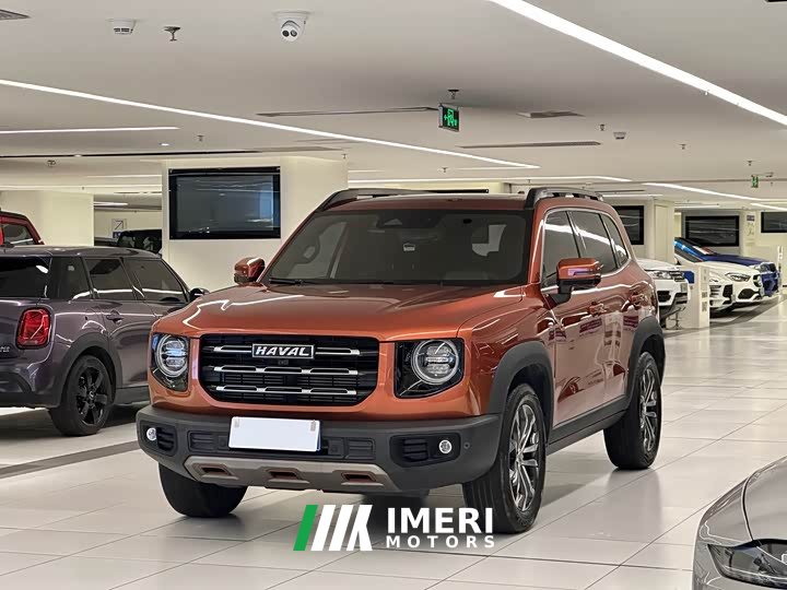 Haval Big Dog 1.5T DCT two-wheel drive Border Collie-Wangcai Edition