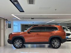 Haval Big Dog 1.5T DCT two-wheel drive Border Collie-Wangcai Edition - фото 4