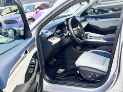 Tesla Xingrui 2023 2.0TD Premium - фото 4
