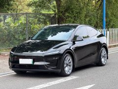 Tesla Model Y rear-wheel drive version - фото 1