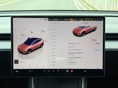 Tesla Model Y rear-wheel drive version - фото 18