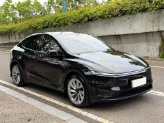 Tesla Model Y rear-wheel drive version - фото 3