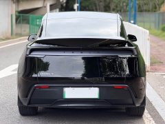 Tesla Model Y rear-wheel drive version - фото 6