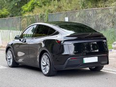 Tesla Model Y rear-wheel drive version - фото 7