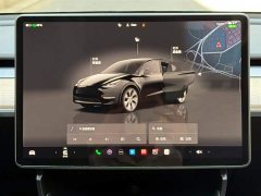 Tesla Model Y long-range all-wheel drive version - фото 13