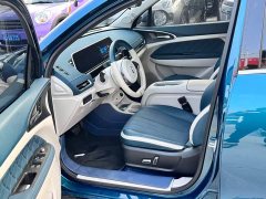 Lexus Euler Good Cat 401km standard battery life luxury lithium iron phosphate - фото 13