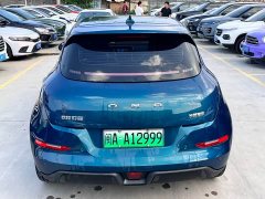 Lexus Euler Good Cat 401km standard battery life luxury lithium iron phosphate - фото 16