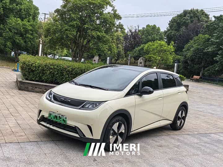 BYD Dolphin Honor Edition 420km Fashion Edition - автомобиль из Китая