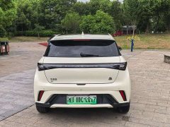 BYD Dolphin Honor Edition 420km Fashion Edition - фото 4