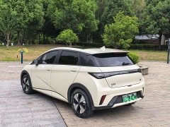 BYD Dolphin Honor Edition 420km Fashion Edition - фото 6