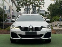 BMW 5 Series facelift 530Li leading M sports package - фото 3