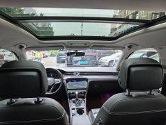 Volkswagen Magotan 2020 330TSI DSG Leading Edition - фото 11
