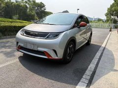 BYD Dolphin 2021 405km Free Edition - фото 1