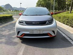 BYD Dolphin 2021 405km Free Edition - фото 2