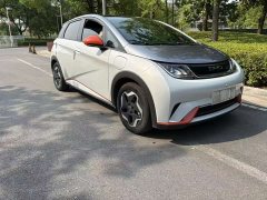 BYD Dolphin 2021 405km Free Edition - фото 3