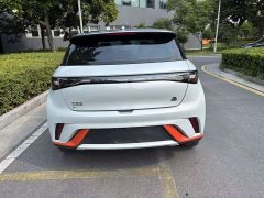 BYD Dolphin 2021 405km Free Edition - фото 9