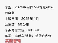 AITO M9 2024 EREV Ultra 42kWh 6-Seater - фото 7