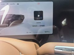 Lynk & Co Zunjie S800 2025 Extended Range Star Executive Edition 4 seats (192-line lidar) - фото 4