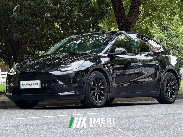 Tesla Model Y standard range rear-wheel drive version - автомобиль из Китая