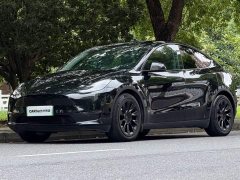 Tesla Model Y standard range rear-wheel drive version - фото 1