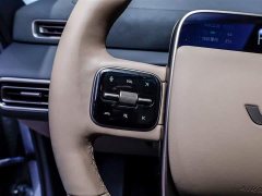 Li Auto Ideal MEGA Home Family Special Edition - фото 16