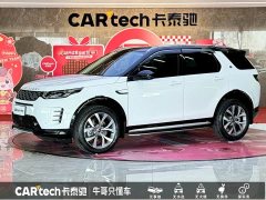 Lexus Discovery Sport Luxury Customized Edition - фото 1