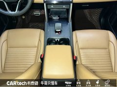 Lexus Discovery Sport Luxury Customized Edition - фото 15