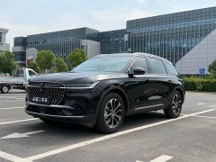 Lincoln Voyager 2.0T four-wheel drive premium version - фото 1